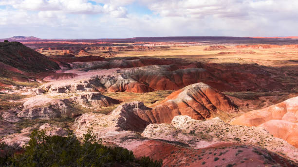 istock Petrified Forest National Park, Arizona 1425019653