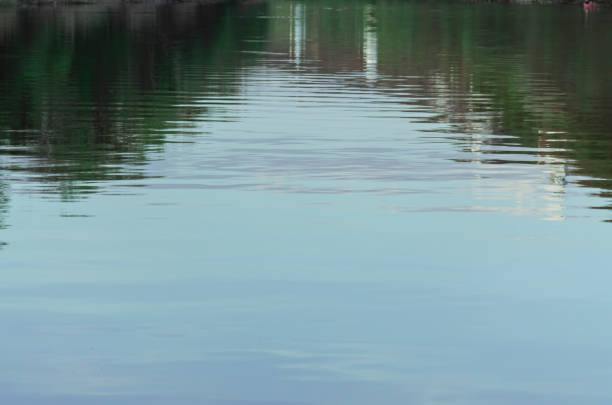 Small river. Aquatic, humid environment with trees. Reflection on the surface of a quiet river.