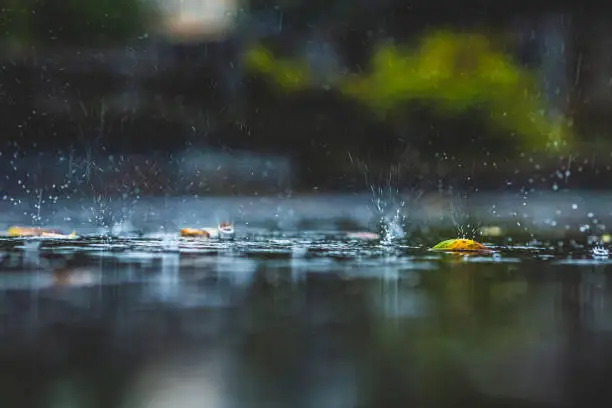 Photo of Raindrops on asphalt. Rain. Rainy weather.