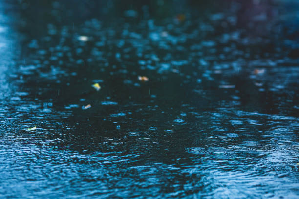 Raindrops on asphalt. Rain. Rainy weather.