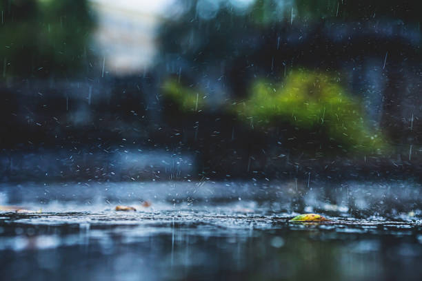 istock Raindrops on asphalt. Rain. Rainy weather. 1425022544