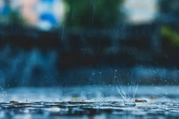 Photo of Raindrops on asphalt. Rain. Rainy weather.