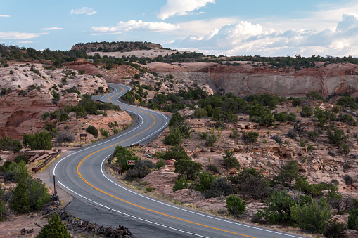 A curvy road cuts through the arid landscape of the Canyonlands.