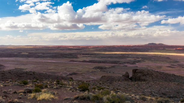 istock Petrified Forest National Park, Arizona 1425026447