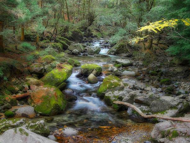 istock Find metadata within this batch Find & Replace Japanese landscape1243 mountain stream 1425033522