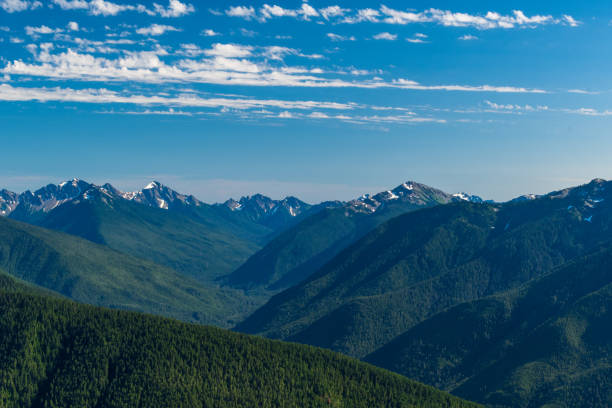 istock Olympic National Park, Hurricane Ridge 1425033536