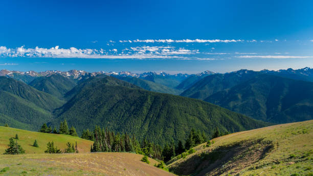 istock Olympic National Park, Hurricane Ridge 1425033574