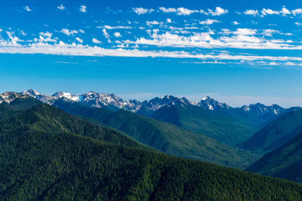 istock Olympic National Park, Hurricane Ridge 1425033666