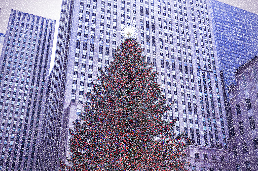 Rockefeller Christmas tree in snow