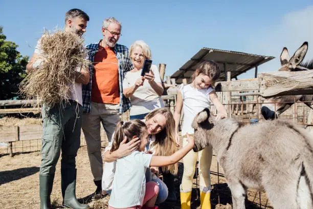 Photo of Family enjoying on their farm with donkeys