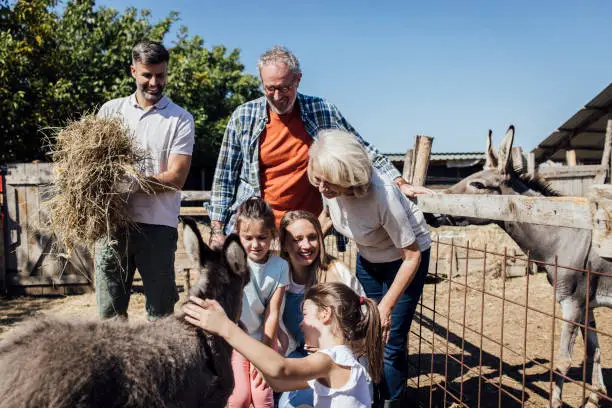 Photo of Family enjoying on their farm with donkeys