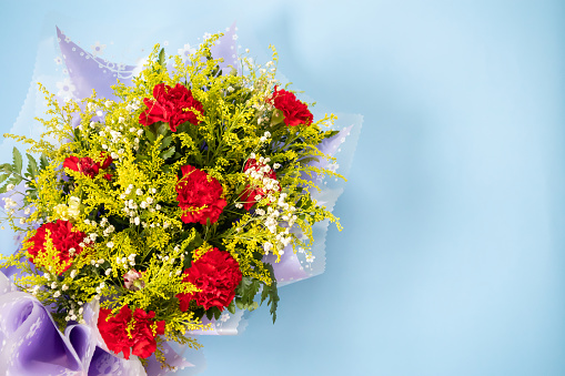 flower bouquet of red carnation with green leaves on blue background