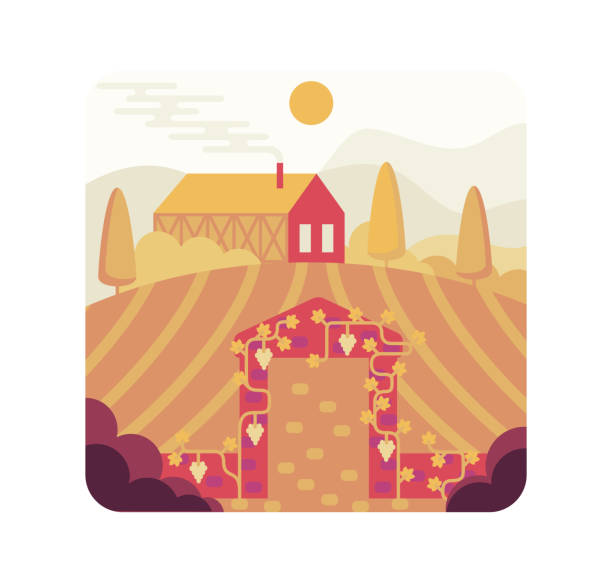 ilustraciones, imágenes clip art, dibujos animados e iconos de stock de arco con uvas a la entrada del viñedo - ilustración vectorial de dibujos animados - california napa valley vineyard farmhouse