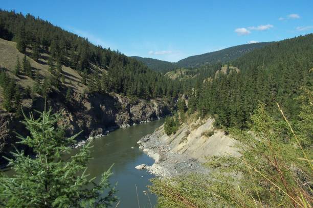 istock Fraser River and its banks - Soda Creek, BC. 1425052485