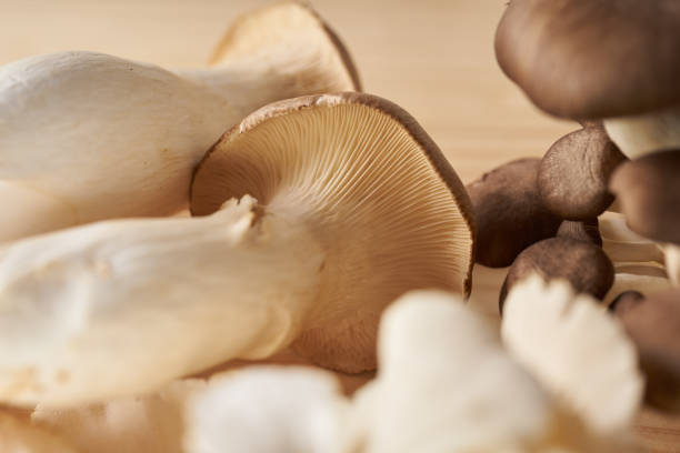 istock Various mushrooms on wooden table 1425053920