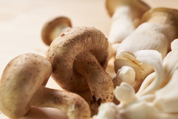 istock Various mushrooms on wooden table 1425054080