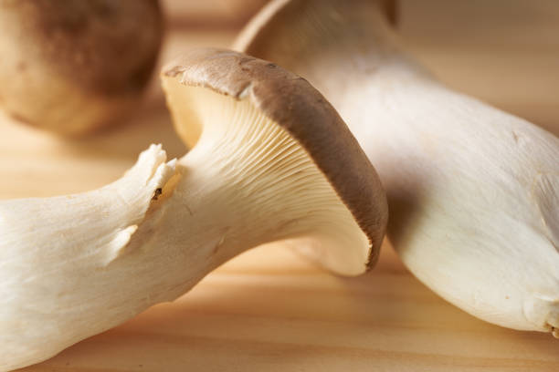 istock Various mushrooms on wooden table 1425054223