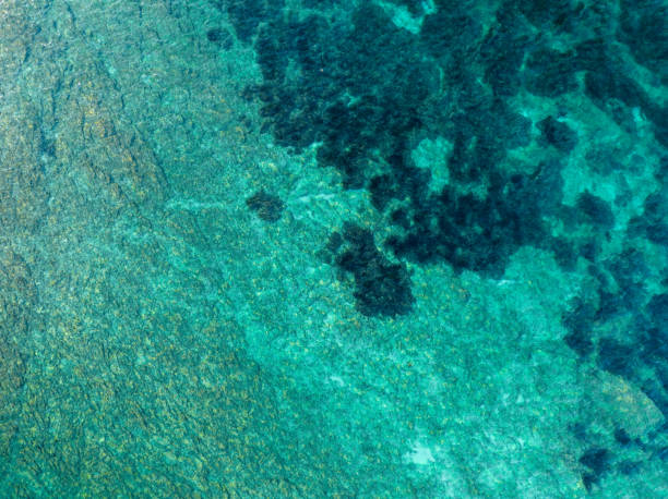 istock Beautiful Water in Sardinia 1425060423