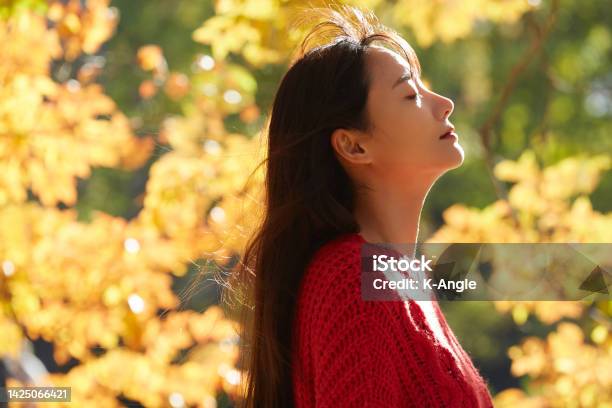 た若い女性のポートレート、秋の葉