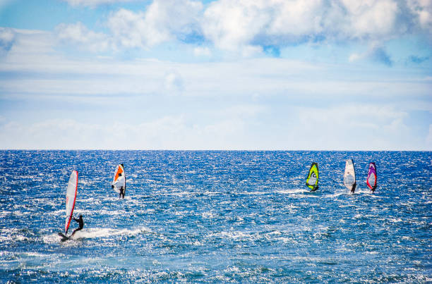 istock People windsurfing on Hookipa Beach, Maui, Hawaii 1425067013
