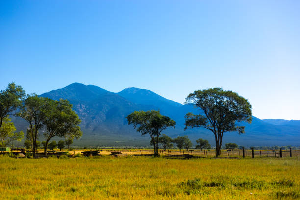 taos, nm: taos prairie z drzewami, góry taos jesienią - taos zdjęcia i obrazy z banku zdjęć