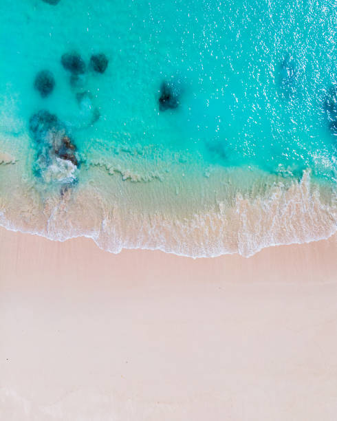 istock Aerial view of sandy tropical beach in summer. 1425068695