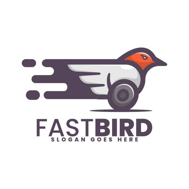 ilustrações, clipart, desenhos animados e ícones de ilustração vetorial estilo mascote simples do pássaro rápido - web winged flash