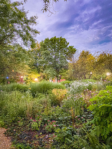 While walking through a park in Ohio a beautiful scene plays out. The garden area is very inviting on this evening in late Summer.