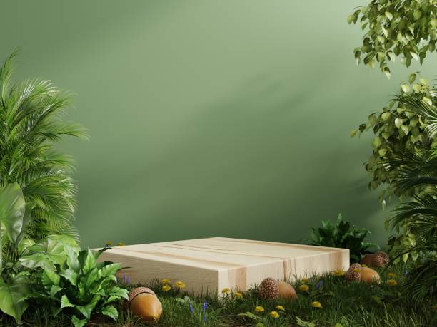 piédestal en bois cube en forêt tropicale pour la présentation des produits et mur végétal. - concrete podium photos et images de collection