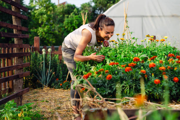 istock Young gardener in garden smelling flower. 1425098116