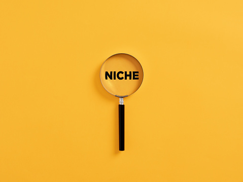 Magnifying glass or magnifier focusing on the word niche. Focusing on target market niche analysis concept.