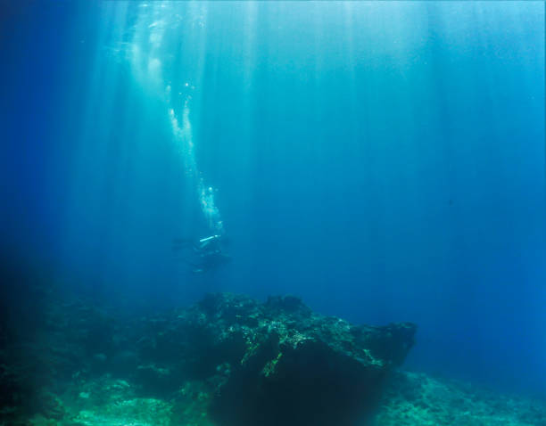 istock Scuba divers in rays of sunlight at a coral reef 1425102895