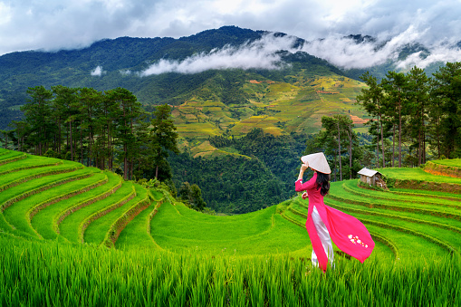 Mujer asiática vestida con la cultura tradicional de Vietnam en la terraza de arroz en Mu cang chai, Vietnam. photo