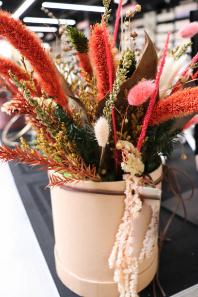 istock Composition of dried flowers 1425104162