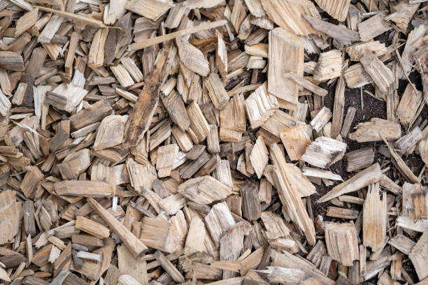 istock pieces of chopped wood as a background 1425104233