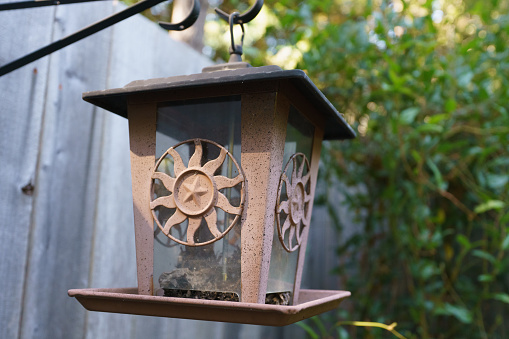Bird feeder hanging in yard from hook rusty