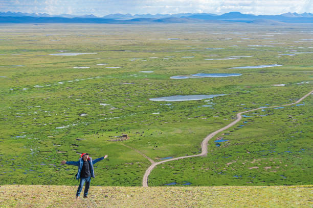 Wide grassland wetland and remote mountain background