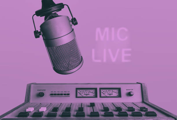 Professional microphone and sound mixer