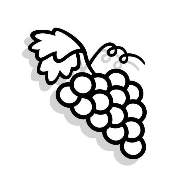 illustrations, cliparts, dessins animés et icônes de raisins doodle 5 - grape bunch fruit stem