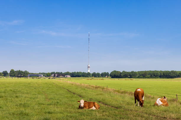 Transmission tower Smilde The Netherlands Landscape with transmission tower Smilde The Netherlands hoogersmilde stock pictures, royalty-free photos & images