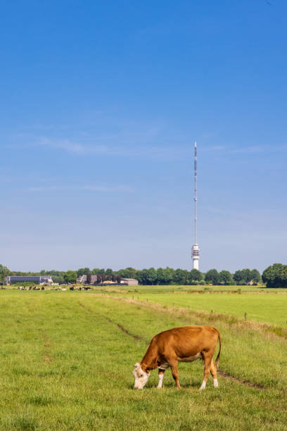 Transmission tower Smilde The Netherlands Landscape with transmission tower Smilde The Netherlands hoogersmilde stock pictures, royalty-free photos & images