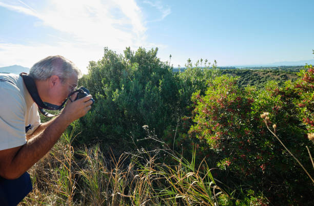 istock Man Taking Photos in Wild Nature 1425118698