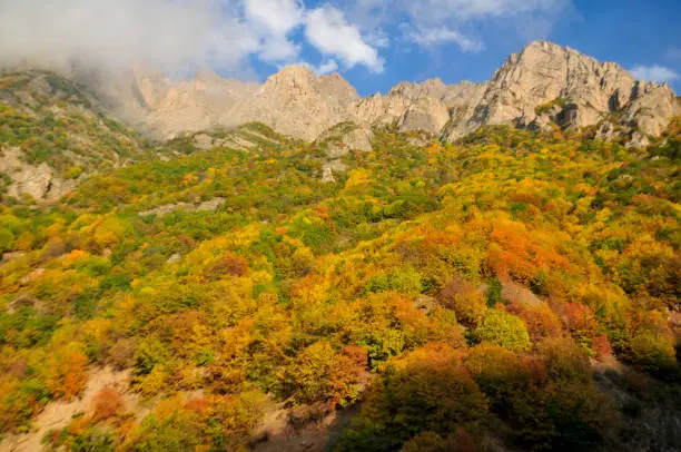 Photo of The Beautiful Scenery of Caspian Sea, Iran