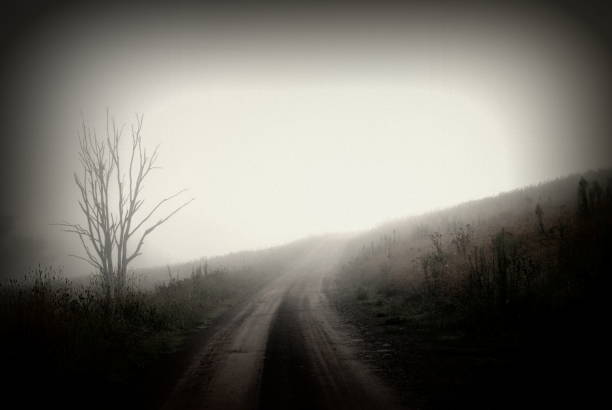 A muddy track through a field on a misty morning