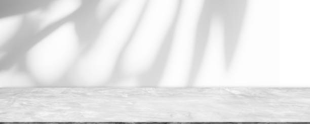 istock Abstract Shadow Leaves Gray Cement Room Stodio Background 1425124799