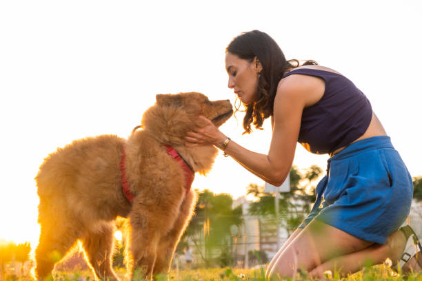 istock Young Woman With Dog 1425125163