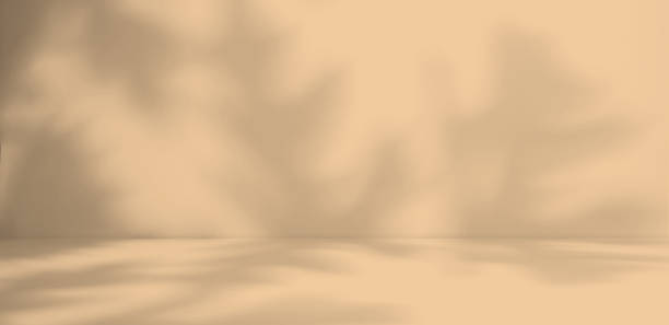 istock Background Studio Room Autumn with Wall Shadow Leaves 1425125204