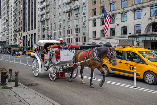 Tourist activity by excellance in the city of Quebec, a carriage ride in autumn to admire the history and colors.