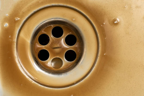Kitchen sink drainGrease and oil in kitchen sink drain