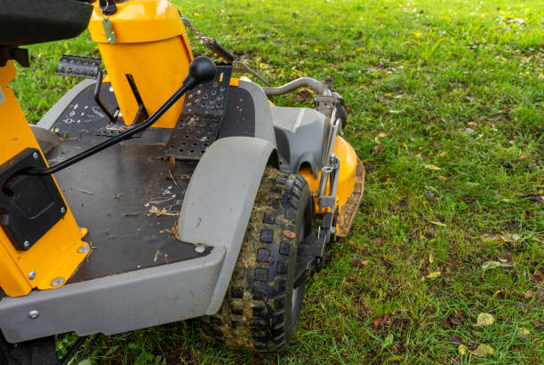 istock Mowing the lawn with a tractor 1425135631